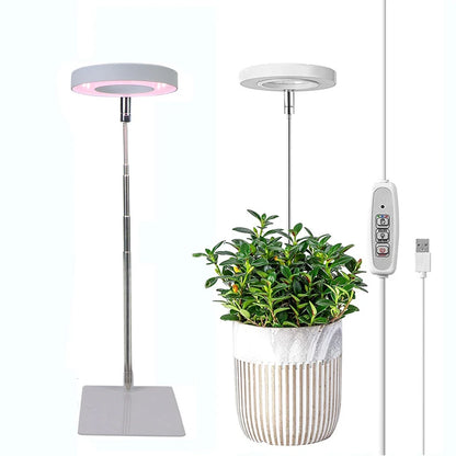 Solar-Powered Growth LED Light