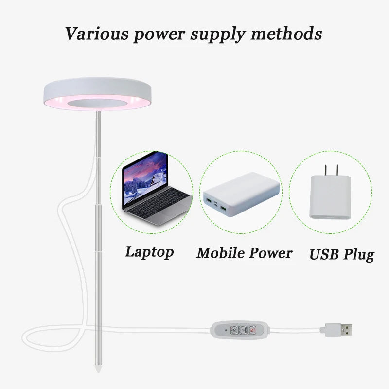 Solar-Powered Growth LED Light