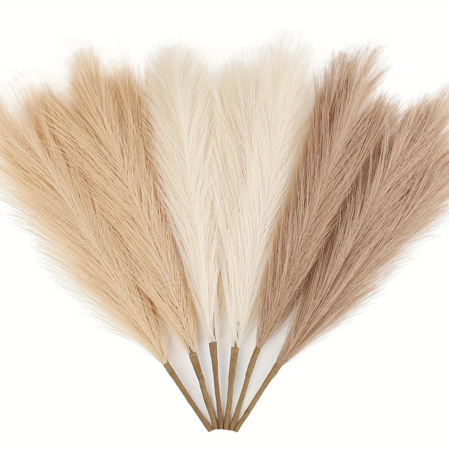 Luxury Pampas Grass Decor